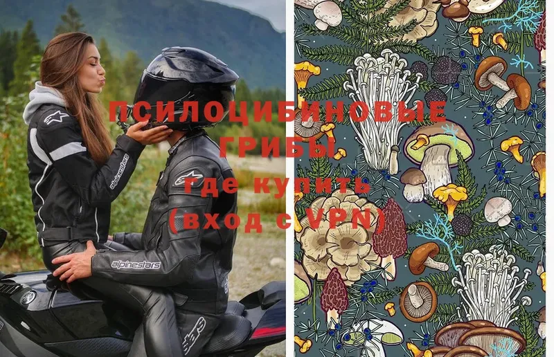 Галлюциногенные грибы Magic Shrooms  Ефремов 